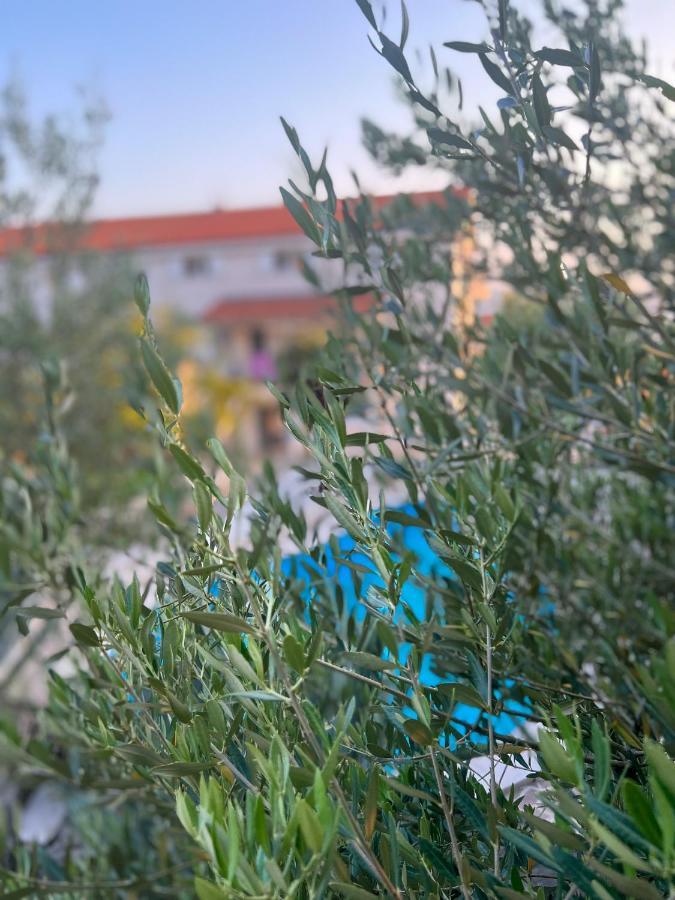 Apartments Villa Klaudia - Adults Only Crikvenica Ngoại thất bức ảnh